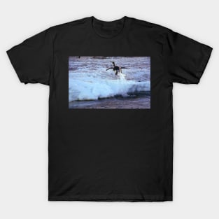 Emperor Penguin 'Flying' Home T-Shirt